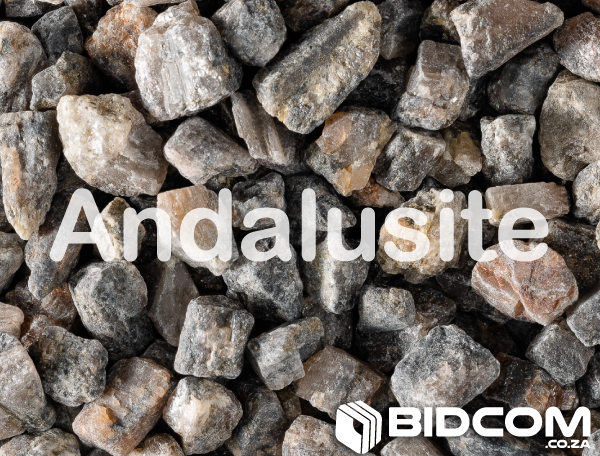 bidcom.co.za auction-cover-andalusite
