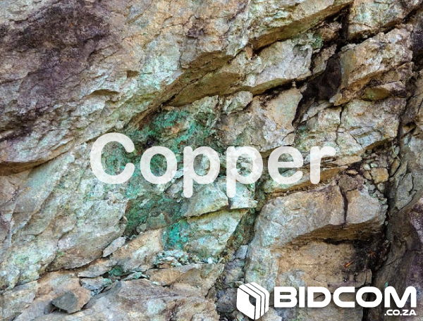 bidcom.co.za auction-cover-copper