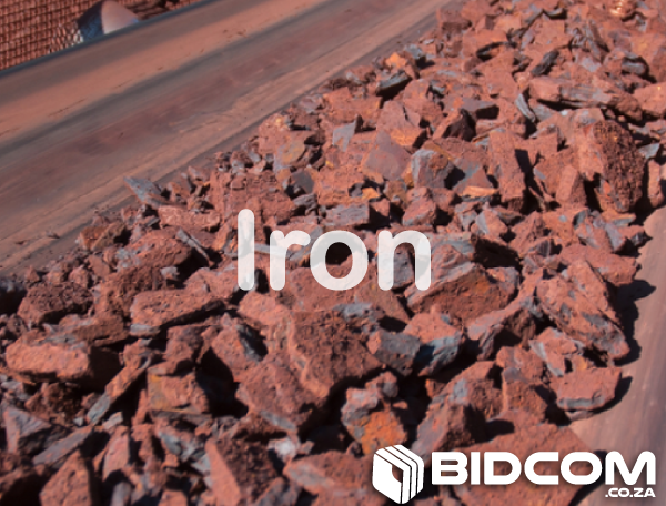 bidcom.co.za auction-cover-iron