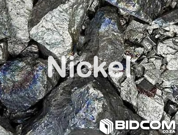 bidcom.co.za auction-cover-nickel