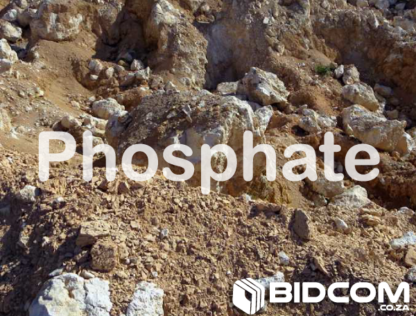 bidcom.co.za auction-cover-phosphate